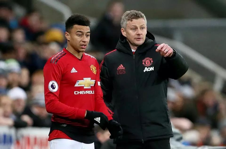 动向总是倍 动向总是倍